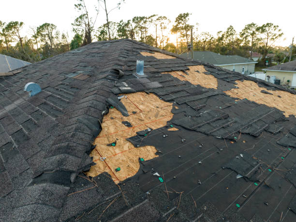Best Metal Roofing Installation  in Clute, TX
