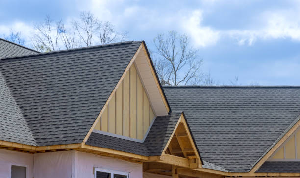 Best Roof Leak Repair  in Clute, TX