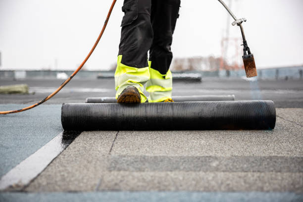 Best Skylight Installation and Repair  in Clute, TX